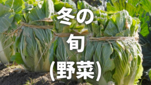 冬が旬の野菜はこれ！栄養素と効率良く栄養を摂るポイントもご紹介