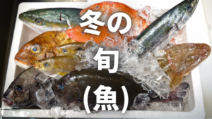 冬が旬の魚とは?冬が美味しい魚と家で簡単に作れる料理もご紹介